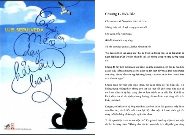 Nội dung sách Chuyện Con Mèo Dạy Hải Âu Bay