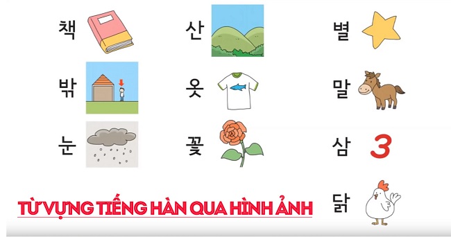 Download từ vựng tiếng Hàn bằng hình ảnh PDF